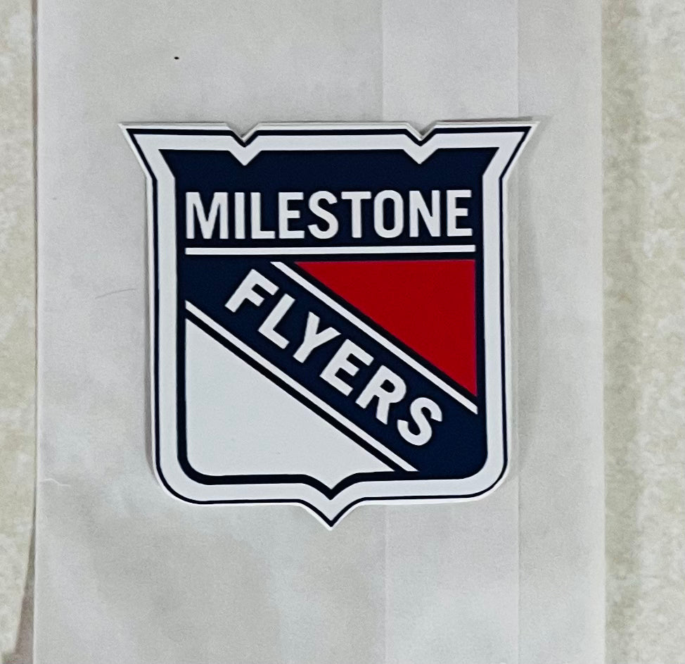 Vinyl sticker - Flyers logo