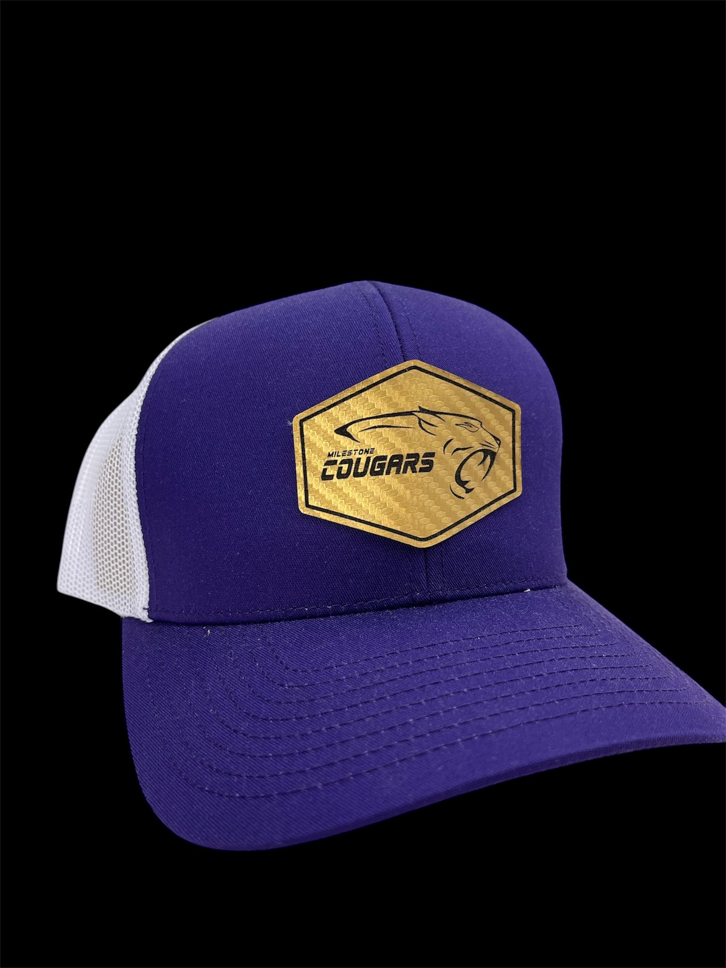 Snapback Hat - Choose style