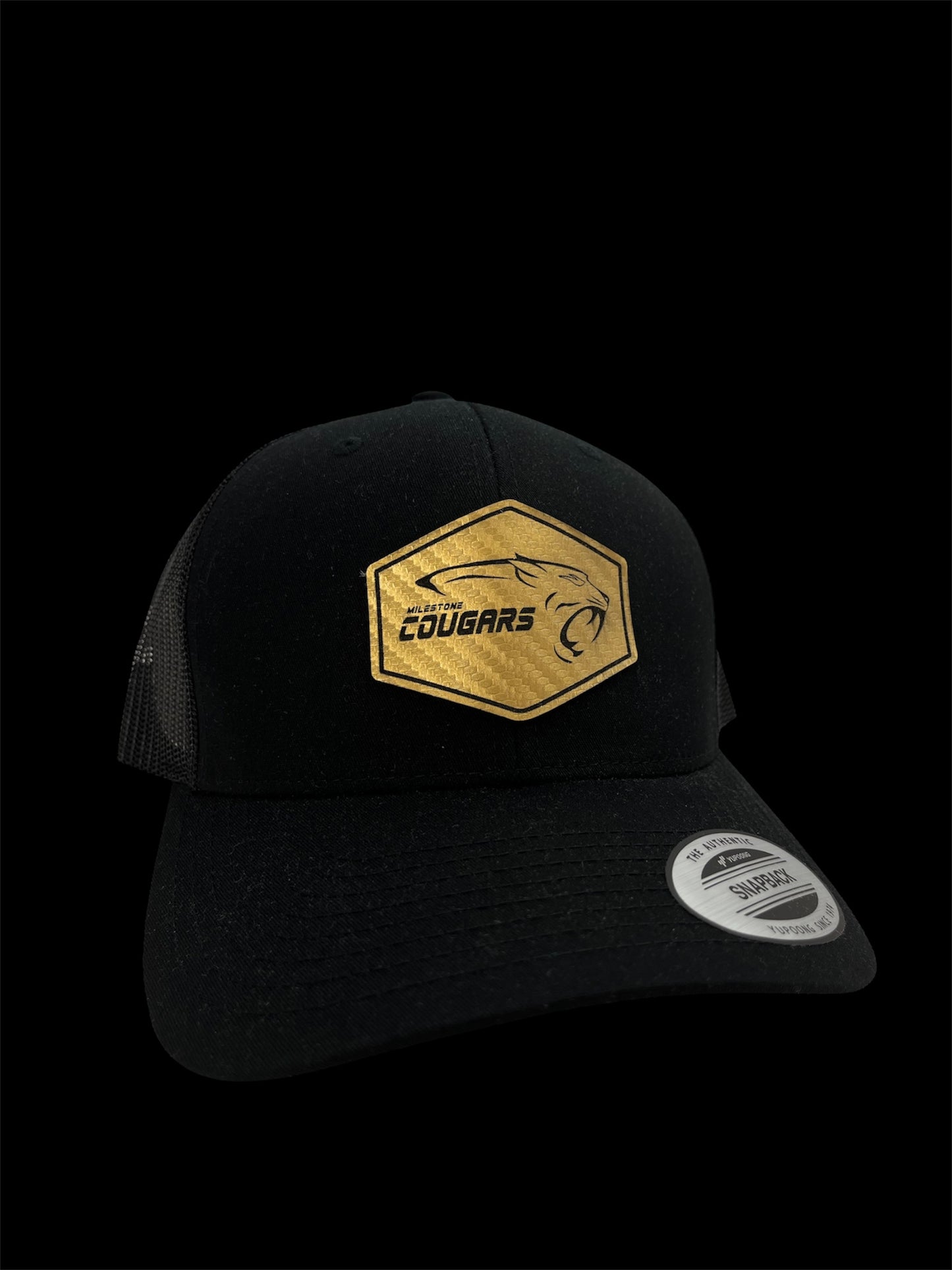 Snapback Hat - Choose style