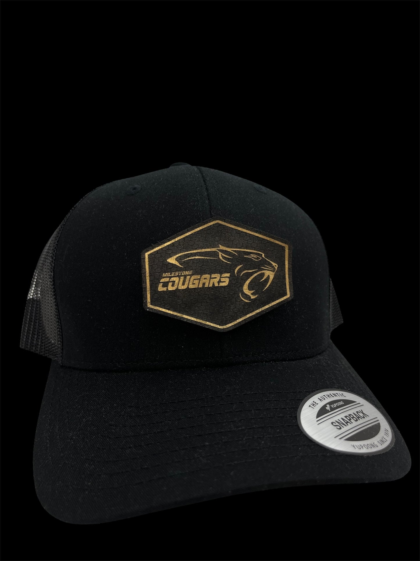 Snapback Hat - Choose style