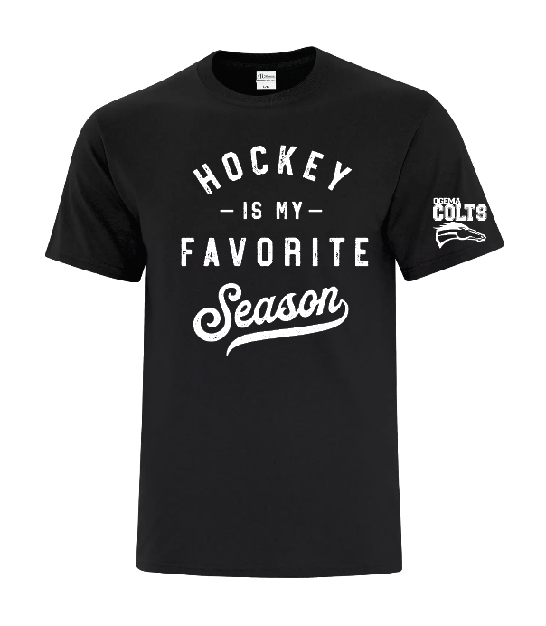 Ogema Colts - Youth and adult - Hockey Season