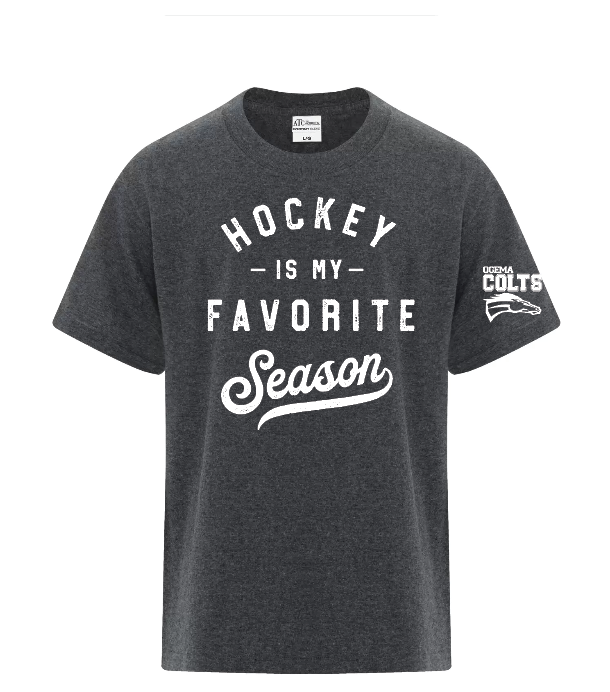 Ogema Colts - Youth and adult - Hockey Season