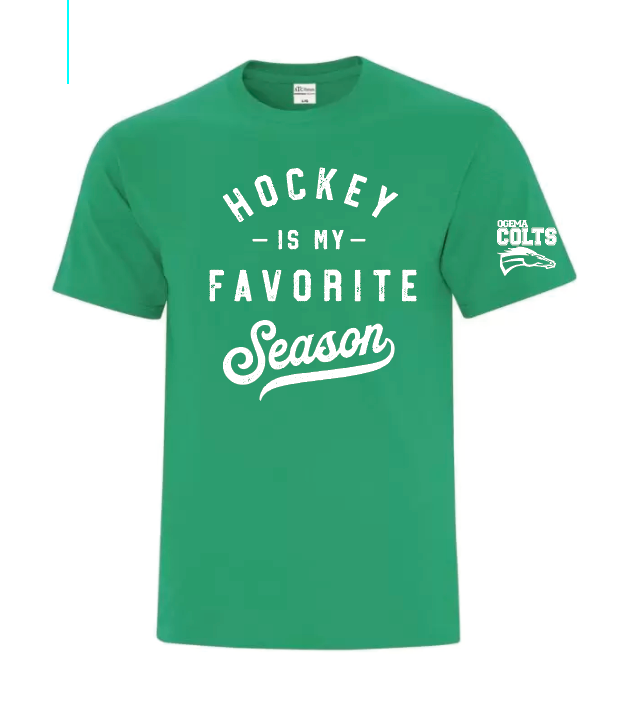Ogema Colts - Youth and adult - Hockey Season