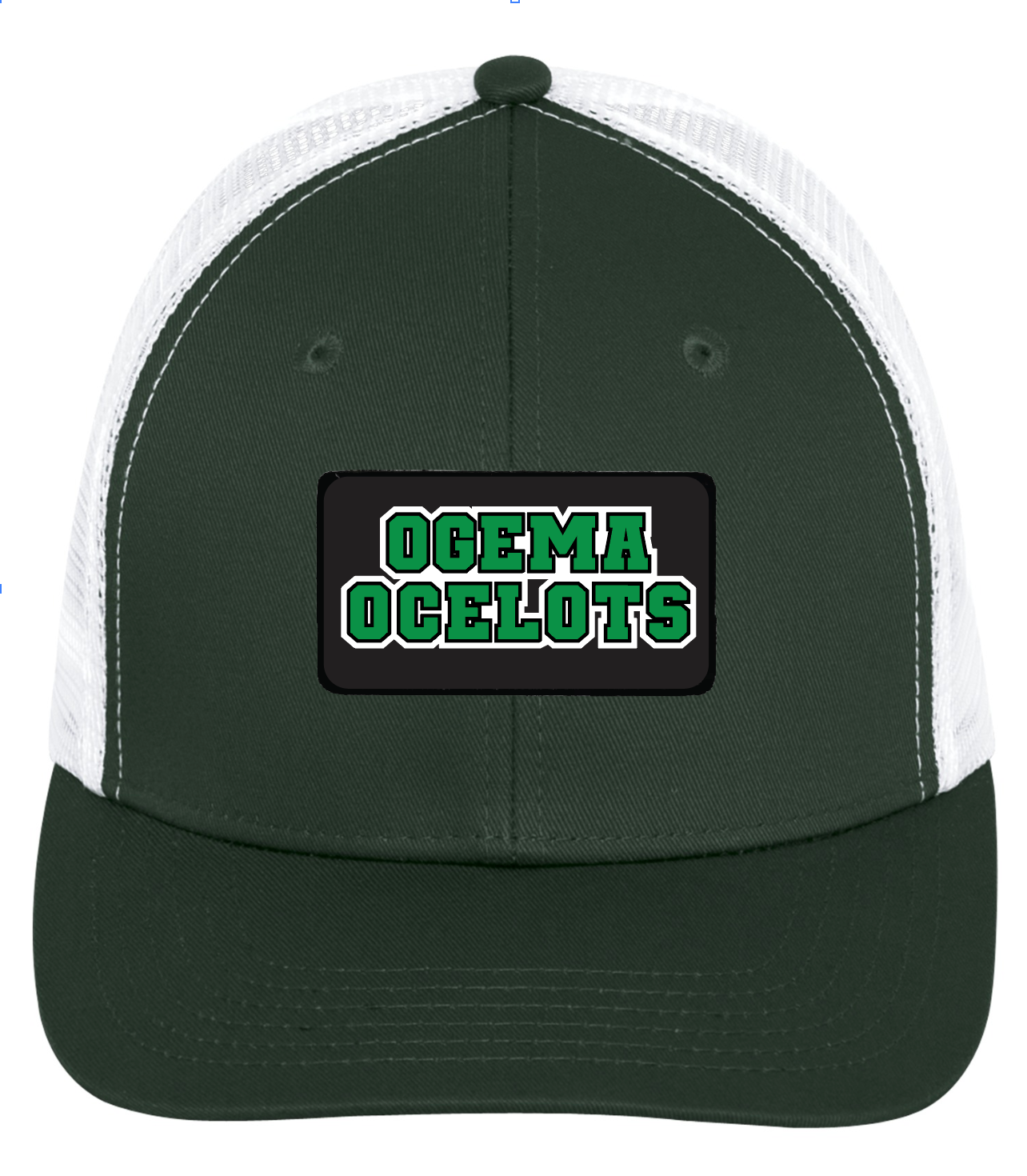 Ogema School - Snapback