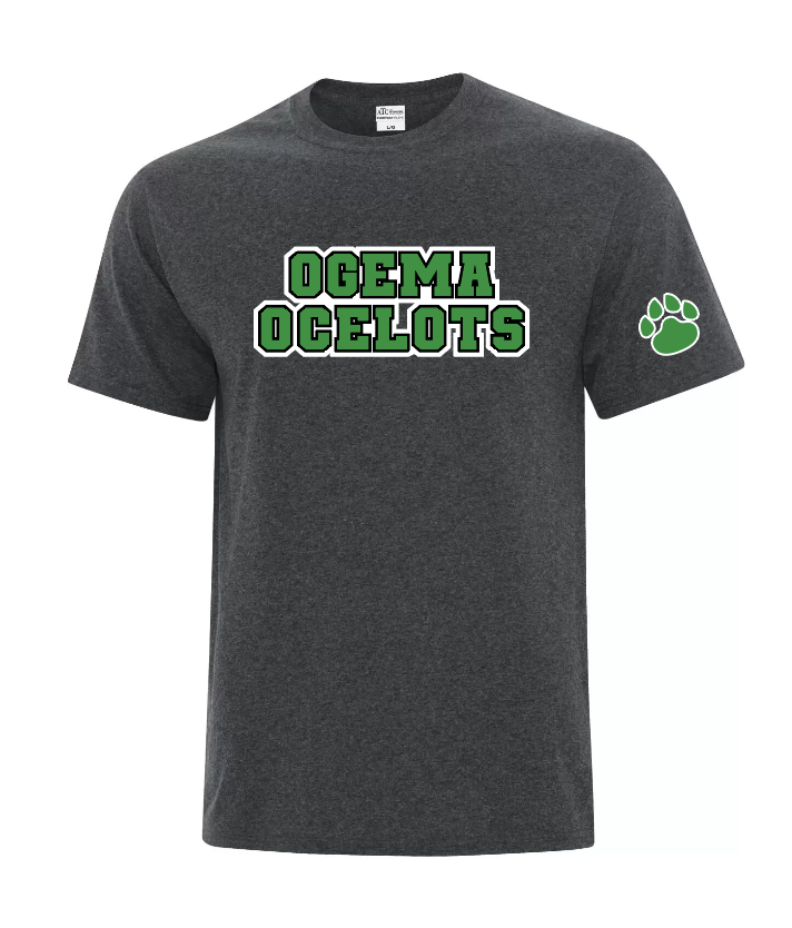 Ogema School 1 Graphic Tee - Youth and adult
