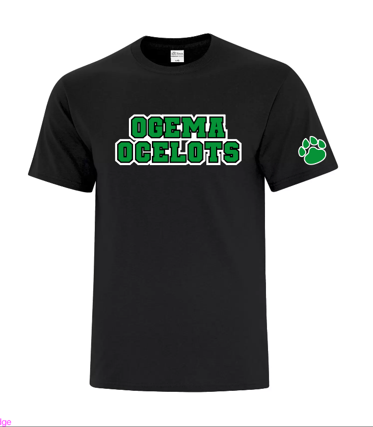 Ogema School 1 Graphic Tee - Youth and adult