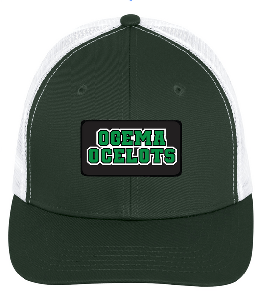 Ogema School - Snapback