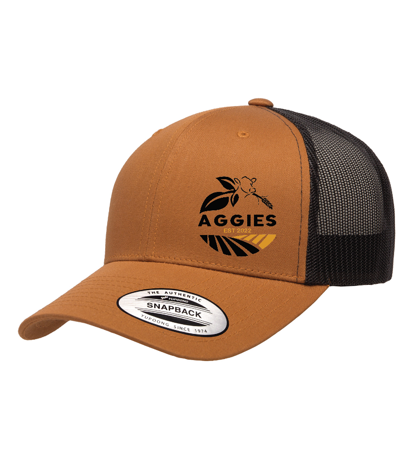 Aggies - Snapback with embroidery ( 2 color options)