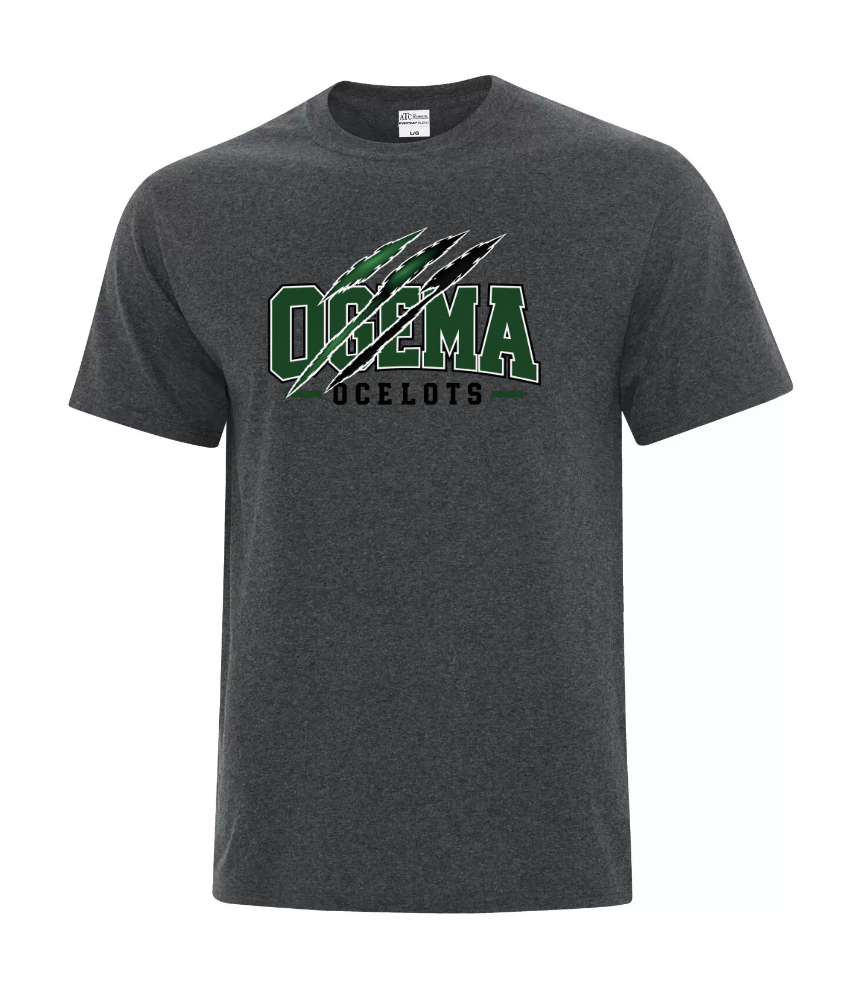 Ogema School - Graphic Tee - Block Letters with swipe